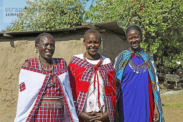 Maasai-Frauen in traditionellen Shukas  Mara-Dreieck  Masai Mara  Bezirk Narok  Kenia  Afrika