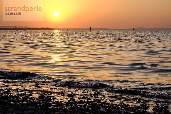 Sonnenuntergang am Bodensee  Rohrspitz  Vorarlberg  Österreich  Europa