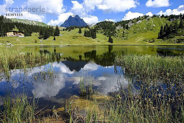 Blick vom Körbersee zum Widderstein  Vorarlberg  Österreich  Europa