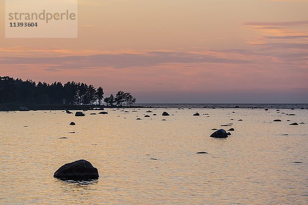 Felsbrocken im Wasser  Abendlicht an der Ostseeküste  Finnischer Meerbusen  Eisma  Estland  Europa