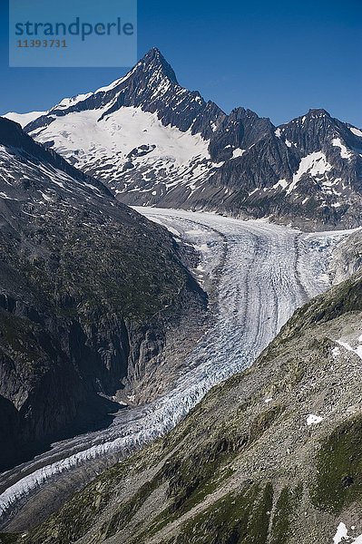 Luftbild  Fieschergletscher vor Finsteraarhorn und Wasenhorn  Talgletscher mit Moräne  Kanton Wallis  Schweizer Alpen  Schweiz  Europa