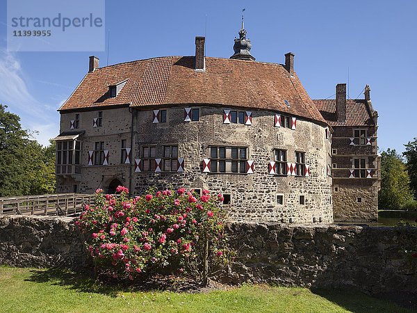 Burg Vischering mit Rosen und Wassergraben  Lüdinghausen  Münsterland  Nordrhein-Westfalen  Deutschland  Europa