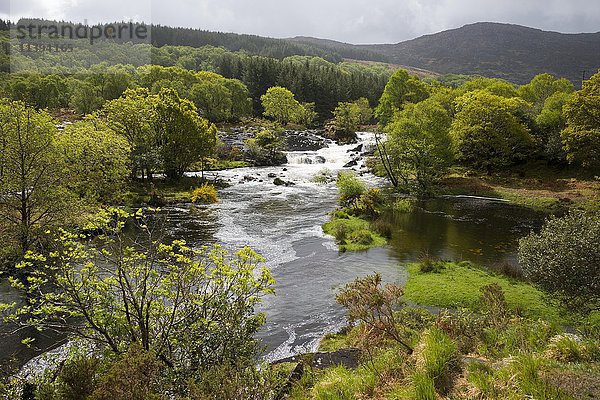 Gearhameen River in Black Valley  Gap of Dunloe  Killarney National Park  County Kerry  Irland  Vereinigtes Königreich  Europa