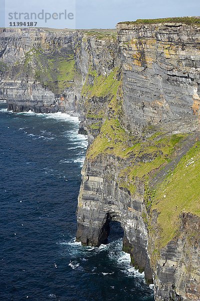 Steilküste  Cliffs of Moher  Grafschaft Clare  Irland  Vereinigtes Königreich  Europa
