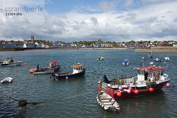Fischerboote im Hafen  Donaghadee  County Down  Nordirland  Vereinigtes Königreich  Europa