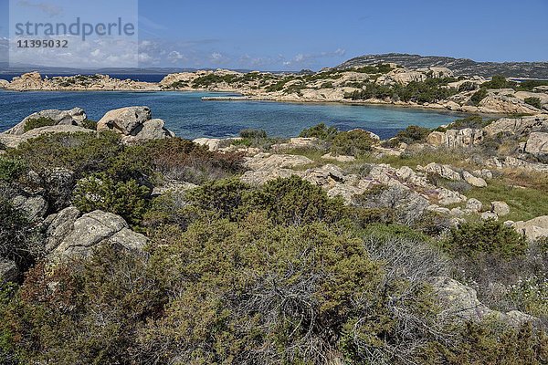 Bucht  Cala Francese  Insel La Maddalena  Provinz Sassari  Gallura  Sardinien  Italien  Europa