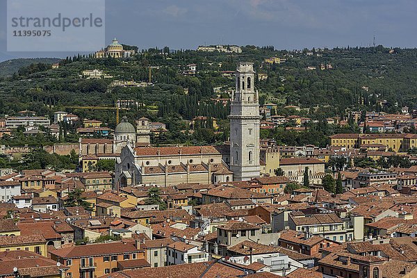 Dom Santa Maria Matricolare  Provinz Verona  Venetien  Italien  Europa