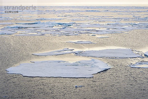 Arktischer Ozean  81° Nord und 26° Ost  Svalbard Archipelago  Norwegen  Europa