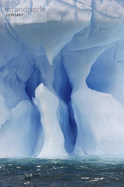 Blau gewellte Eisberge  Shingle Cove  Coronation Island  Südliche Orkney-Inseln  Antarktis