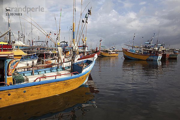 Bunte Fischerboote im Hafen  Beruwela  Westliche Provinz  Sri Lanka  Asien