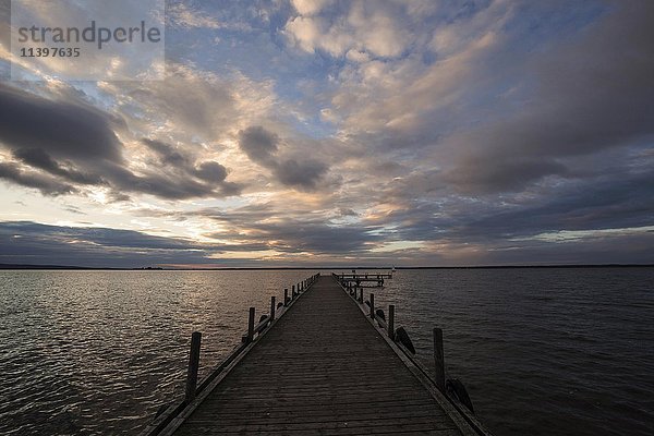 Steg am Steinhuder Meer  bewölkter Himmel im Abendlicht  Niedersachsen  Deutschland  Europa