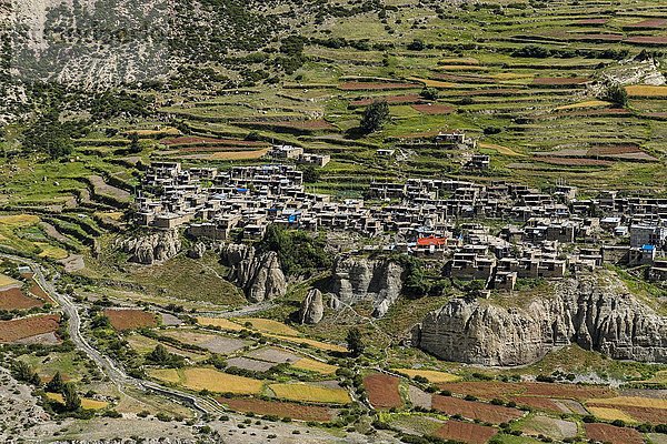 Dorf Manang mit den landwirtschaftlichen Terrassenfeldern  Oberes Marsyangdi-Tal  Bezirk Manang  Nepal  Asien