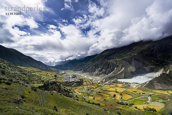 Manang mit Terrassenfeldern  Oberes Marsyangdi-Tal  Bezirk Manang  Nepal  Asien