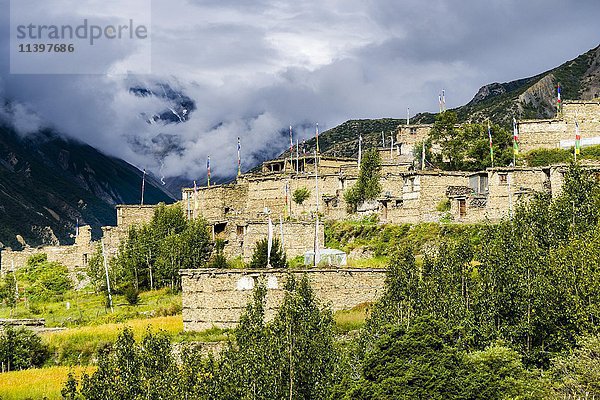 Steinhäuser  Ghusang  Oberes Marsyangdi-Tal  Bezirk Manang  Nepal  Asien