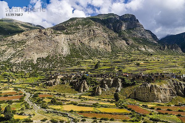 Dorf Manang mit den landwirtschaftlichen Terrassenfeldern  Oberes Marsyangdi-Tal  Bezirk Manang  Nepal  Asien