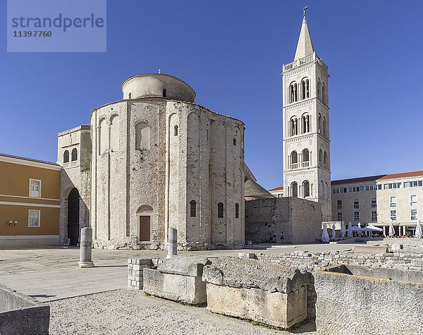 Forum Romanum  St. Donatus Kirche  Kathedrale und Glockenturm  Zadar  Kroatien  Europa
