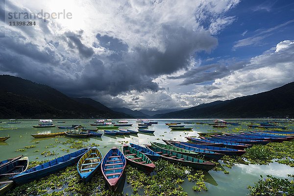 Ruderboote liegen eng beieinander auf dem Phewa See  dunkle Gewitterwolken ziehen am Himmel auf  Pokhara  Kaski District  Nepal  Asien