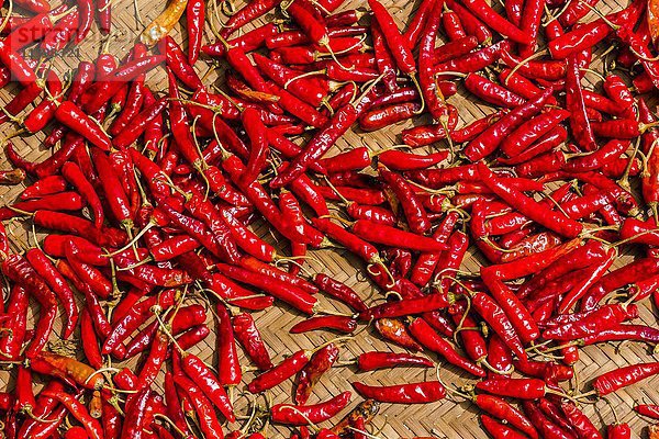 Chilis trocknen in der Sonne auf einer geflochtenen Matte  Sarangkot  Bezirk Kaski  Nepal  Asien