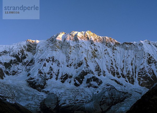 Blick auf die schneebedeckte Annapurna 1 Nordwand bei Sonnenaufgang  Chomrong  Kaski District  Nepal  Asien