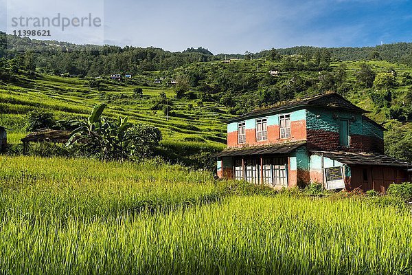 Bauernhaus in einer Agrarlandschaft mit grünen Terrassenreisfeldern  Chitre  Oberes Kali-Gandaki-Tal  Bezirk Myagdi  Nepal  Asien
