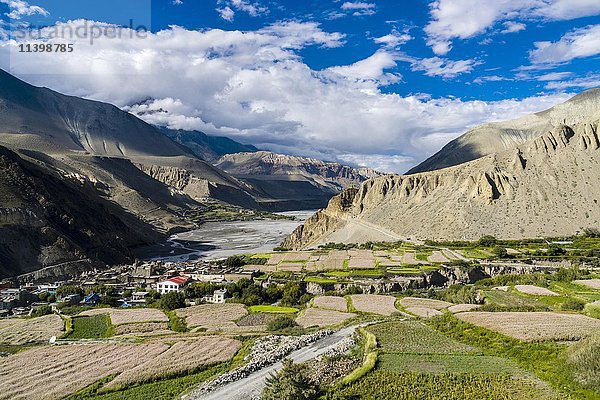 Luftaufnahme  landwirtschaftliche Landschaft des Kali Gandaki-Tals mit Gerstenfeldern und Häusern in einem Dorf  Kagbeni  Mustang District  Nepal  Asien