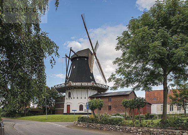 Højer Mølle  historische niederländische Windmühle mit Sønderjylland Museum  Højer  Jütland  Region Süddänemark  Dänemark  Europa