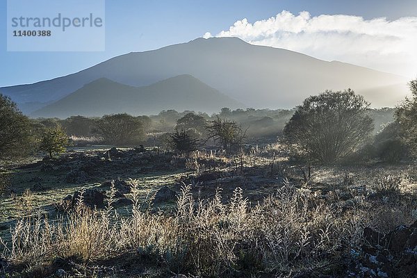 Piano dei Grilli  Morgennebel  Berg Ruvolo  Westflanke des Ätna  Vulkane  Bronte  Sizilien  Italien  Europa