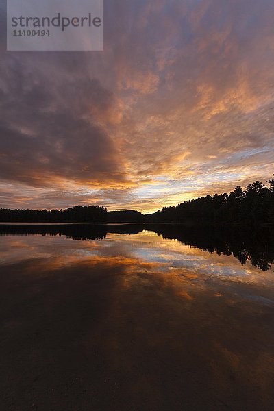 Sonnenuntergang am Mew Lake  Algonquin Provincial Park  Provinz Ontario  Kanada  Nordamerika