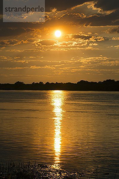 Sonnenuntergang  Sambesi-Fluss  Katima Mulilo  Caprivi-Streifen  Namibia  Afrika