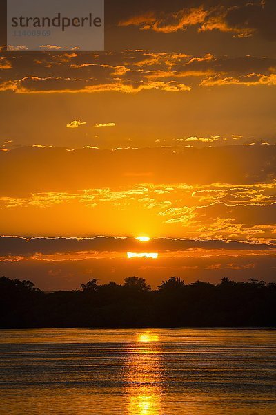 Sonnenuntergang  Sambesi-Fluss  Katima Mulilo  Caprivi-Streifen  Namibia  Afrika