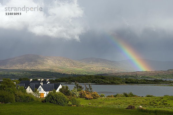 Regenbogen bei Blackwater  Ring of Kerry  Irland  Vereinigtes Königreich  Europa