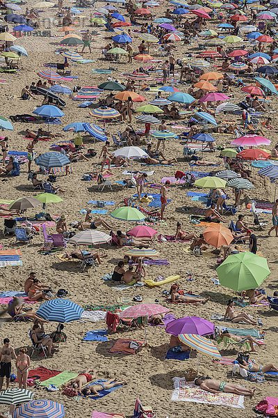 Touristen am Playa de Levante  Benidorm  Alicante  Costa Blanca  Spanien  Europa