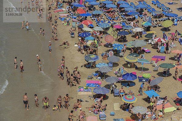 Touristen an der Playa Mal Pas  Benidorm  Provinz Alicante  Costa Blanca  Spanien  Europa