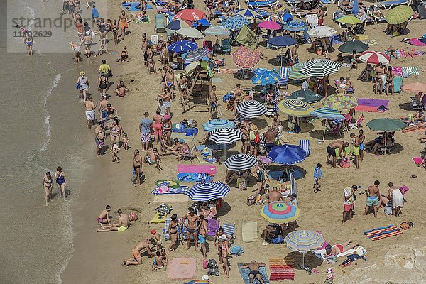 Touristen an der Playa Mal Pas  Benidorm  Provinz Alicante  Costa Blanca  Spanien  Europa