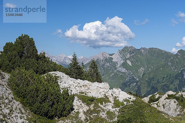 Naturschutzgebiet Gipslöcher  Lechquellengebirge  Vorarlberg  Österreich  Europa