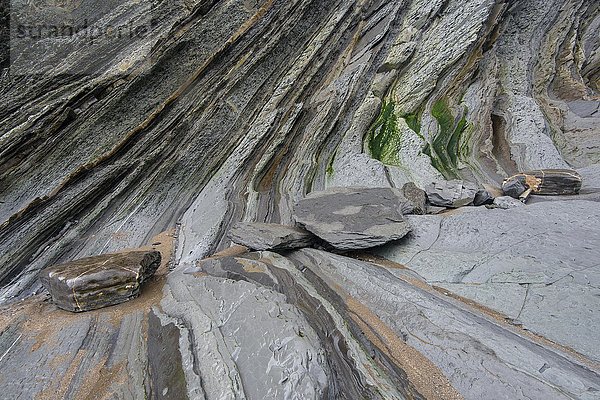 Flysch  Gesteinsschicht an der Küste von Deba  Guipuzcoa Provinz  Baskenland  Bizkaia  Spanien  Europa