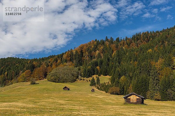 Herbstwald und Heuschuppen auf einer Wiese  Krün  Mittenwald  Werdenfelser Land  Oberbayern  Bayern  Deutschland  Europa
