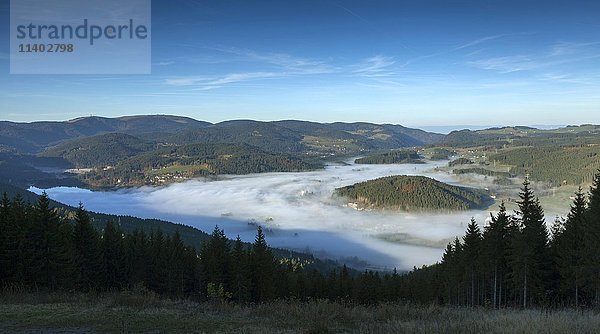 Titisee im Morgennebel  mit Hügeln  Titisee-Neustadt  Schwarzwald  Baden-Württemberg  Deutschland  Europa