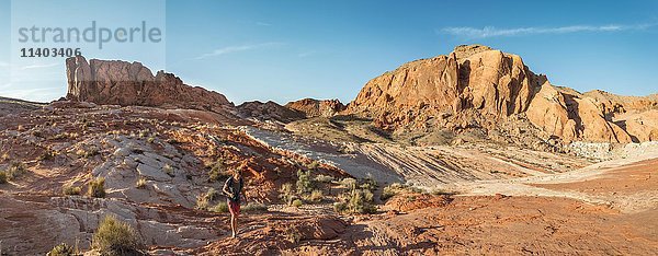 Junger Mann beim Wandern  rote Felsformationen  Sandstein  Tal des Feuers  Mojave-Wüste  Nevada  USA  Nordamerika
