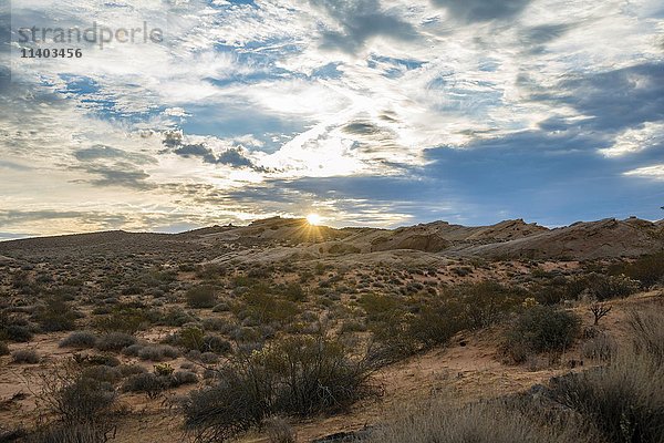 Wüstenlandschaft mit rotem Sand und Sandsteinfelsen bei Sonnenaufgang  Mojave-Wüste  Valley of Fire  Nevada  USA  Nordamerika