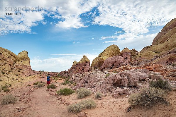 Junger männlicher Einzelwanderer auf dem White Dome Trail  rot-orangefarbene Felsformationen  Valley of Fire State Park  Mojave-Wüste  Nevada  USA  Nordamerika