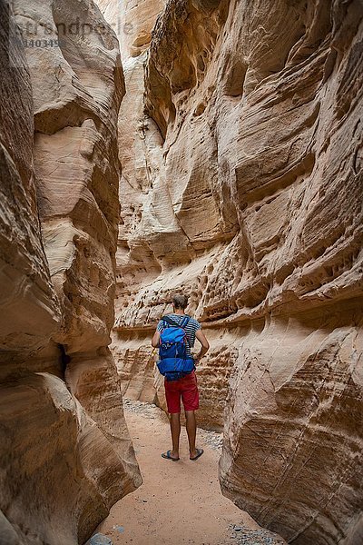 Junger Mann steht in der Schlucht des Slot Canyon  White Dome Trail  rot-orangefarbener Sandsteinfelsen  Valley of Fire State Park  Nevada  USA  Nordamerika