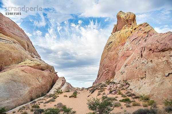 Orange-rote Felsformationen  Sandstein  White Domes Trail  Valley of Fire State Park  Mojave-Wüste  Nevada  USA  Nordamerika