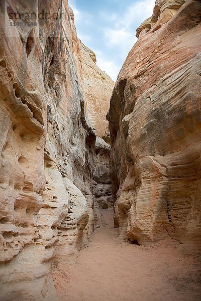 Slot Canyon  White Dome Trail  rot-orange Sandsteinfelsen  Valley of Fire State Park  Nevada  USA  Nordamerika
