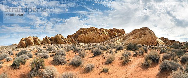 Rainbow Vista  rot-orange Sandsteinfelsen  Mojave-Wüste  Valley of Fire State Park  Nevada  USA  Nordamerika