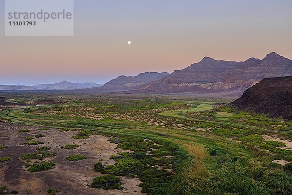 Mondaufgang im trockenen Flusstal  Abendstimmung  Huab Fluss  Damaraland  Kunene Region  Namibia  Afrika