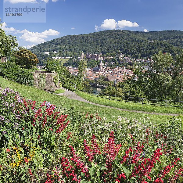 Blick auf das historische Zentrum und das Schloss vom Philosophenweg in Heidelberg  Baden-Württemberg  Deutschland  Europa