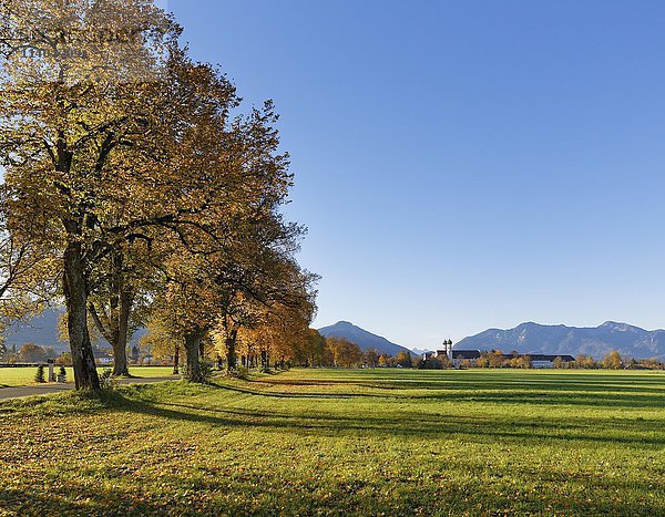 Herbstliche Lichtung mit Kloster Benediktbeuern  Oberbayern  Bayern  Deutschland  Europa