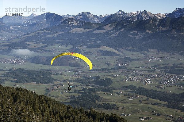 Gleitschirmflieger  hinter Allgäuer Alpen bei Grünten  Allgäu  Bayern  Deutschland  Europa