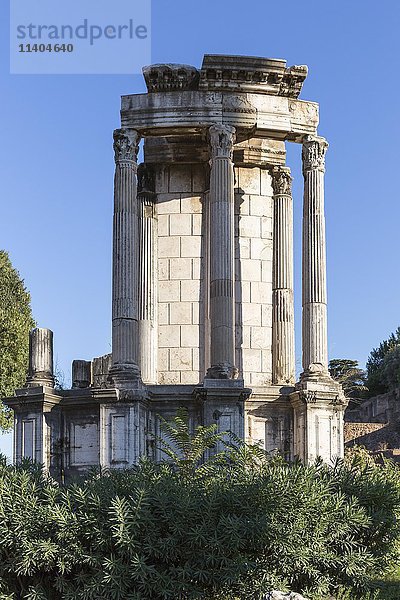 Tempel der Vesta  Forum Romanum  Rom  Italien  Europa